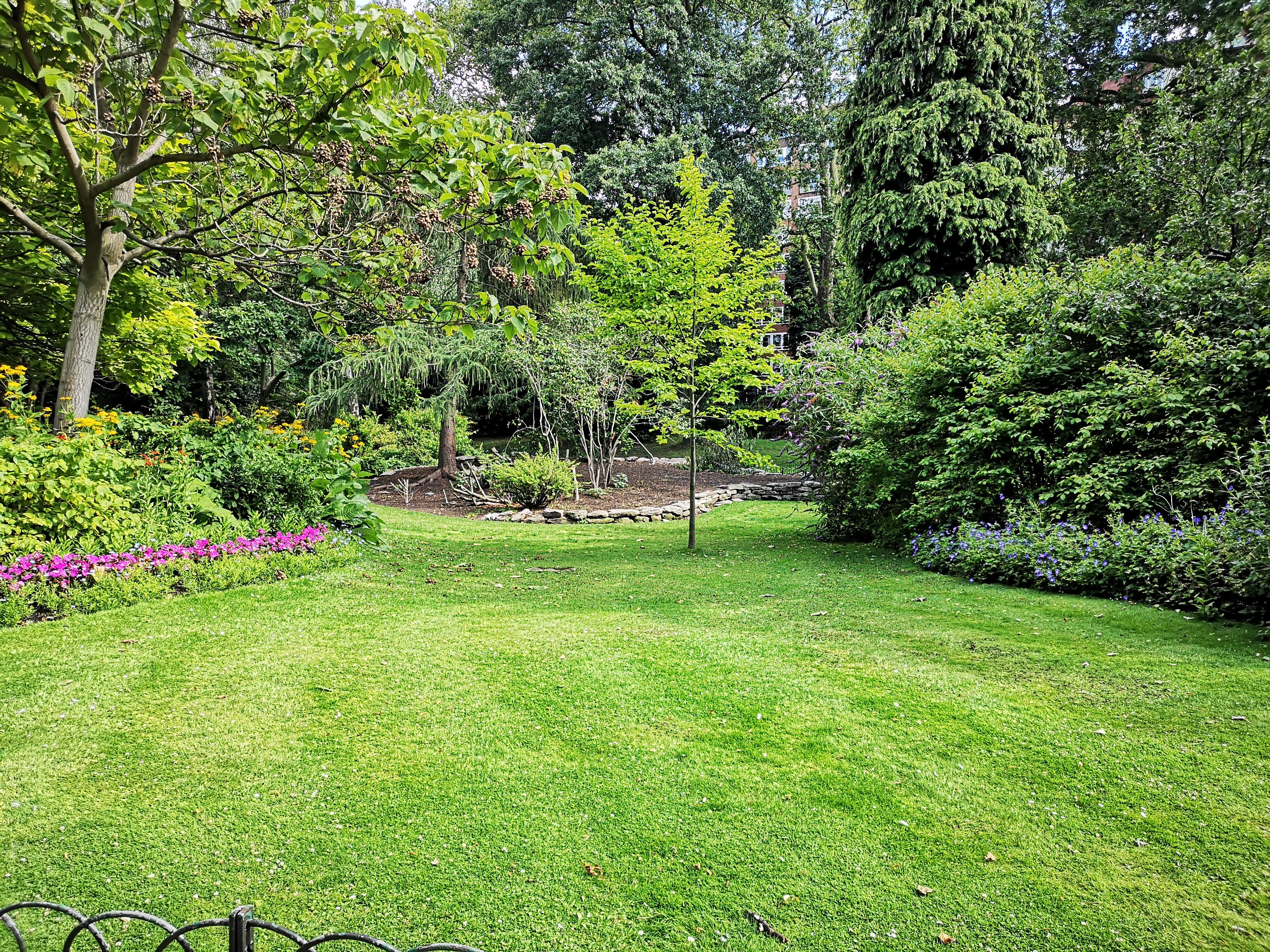 A Complete Guide to Speeding Up Your Garden Renovation